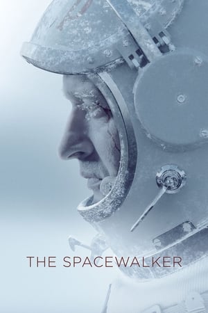 Spacewalker