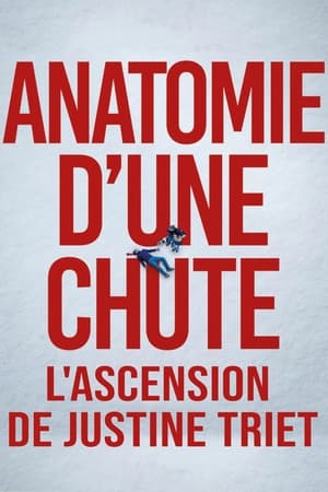 Anatomie Dune Chute Lascension De Justine Triet