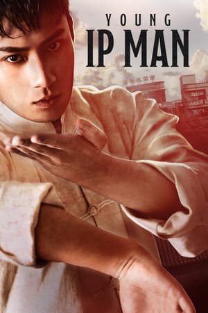 Ip Man Naissance Dun Combattant