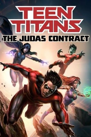 Teen Titans The Judas Contract