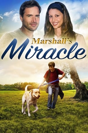 Marshall Le Miracle De La Vie